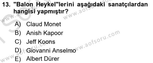 Sanatta Eleştirel Düşünce Dersi 2023 - 2024 Yılı (Final) Dönem Sonu Sınavı 13. Soru