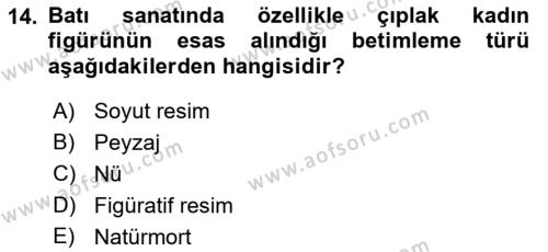 Sanatta Eleştirel Düşünce Dersi 2023 - 2024 Yılı (Final) Dönem Sonu Sınavı 14. Soru