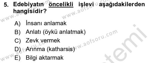 Sanatta Eleştirel Düşünce Dersi 2023 - 2024 Yılı (Final) Dönem Sonu Sınavı 5. Soru