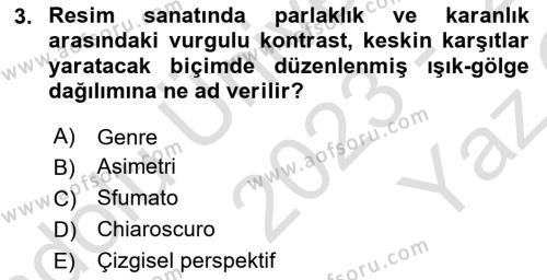 Sanatta Eleştirel Düşünce Dersi 2023 - 2024 Yılı Yaz Okulu Sınavı 3. Soru