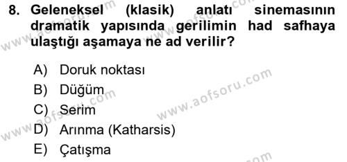 Sanatta Eleştirel Düşünce Dersi 2023 - 2024 Yılı Yaz Okulu Sınavı 8. Soru