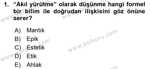 Sanatta Eleştirel Düşünce Dersi 2024 - 2025 Yılı (Vize) Ara Sınavı 1. Soru
