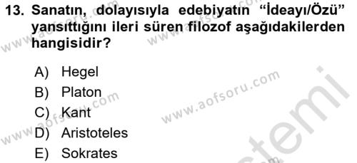 Sanatta Eleştirel Düşünce Dersi 2024 - 2025 Yılı (Vize) Ara Sınavı 13. Soru