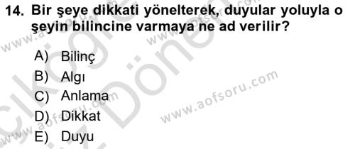 Sanatta Eleştirel Düşünce Dersi 2024 - 2025 Yılı (Vize) Ara Sınavı 14. Soru