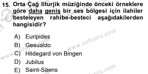 Sanatta Eleştirel Düşünce Dersi 2024 - 2025 Yılı (Vize) Ara Sınavı 15. Soru