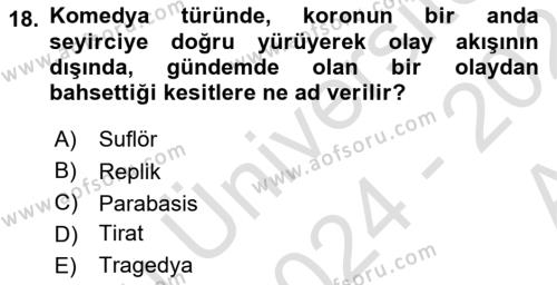 Sanatta Eleştirel Düşünce Dersi 2024 - 2025 Yılı (Vize) Ara Sınavı 18. Soru