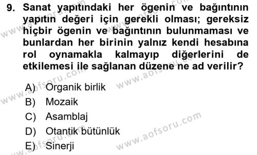 Sanatta Eleştirel Düşünce Dersi 2024 - 2025 Yılı (Vize) Ara Sınavı 9. Soru