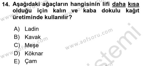 Dijital Grafik Üretim Ve Çoğaltım Teknikleri Dersi 2022 - 2023 Yılı Yaz Okulu Sınavı 14. Soru