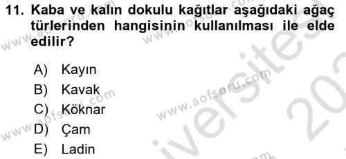 Dijital Grafik Üretim Ve Çoğaltım Teknikleri Dersi 2023 - 2024 Yılı (Final) Dönem Sonu Sınavı 11. Soru