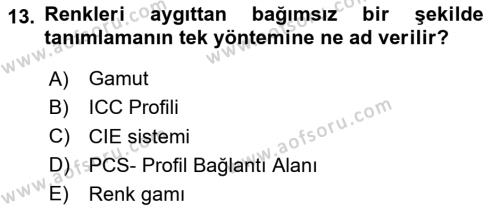 Dijital Grafik Üretim Ve Çoğaltım Teknikleri Dersi 2023 - 2024 Yılı (Final) Dönem Sonu Sınavı 13. Soru