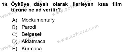 Görsel Tasarımda Yaratıcı Düşünme Teknikleri Dersi 2022 - 2023 Yılı (Final) Dönem Sonu Sınavı 19. Soru