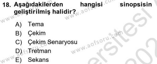 Görsel Tasarımda Yaratıcı Düşünme Teknikleri Dersi 2023 - 2024 Yılı (Final) Dönem Sonu Sınavı 18. Soru