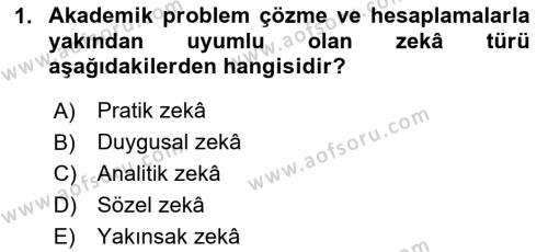 Görsel Tasarımda Yaratıcı Düşünme Teknikleri Dersi 2024 - 2025 Yılı (Vize) Ara Sınavı 1. Soru