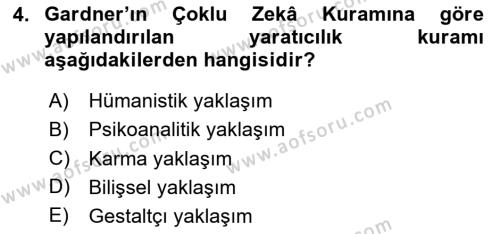 Görsel Tasarımda Yaratıcı Düşünme Teknikleri Dersi 2024 - 2025 Yılı (Vize) Ara Sınavı 4. Soru