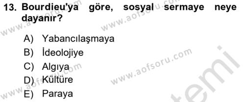 Görsel İletişim Ve Kuramları Dersi 2023 - 2024 Yılı Yaz Okulu Sınavı 13. Soru