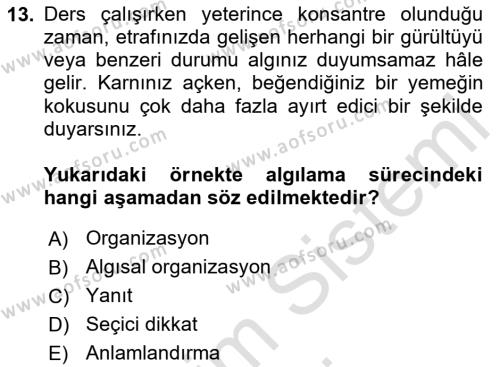 Görsel İletişim Ve Kuramları Dersi 2024 - 2025 Yılı (Vize) Ara Sınavı 13. Soru