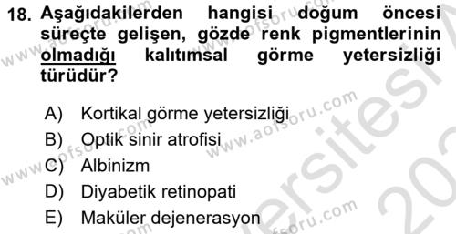 Engellilik Ve Erişilebilir Tasarım Dersi 2023 - 2024 Yılı Yaz Okulu Sınavı 18. Soru