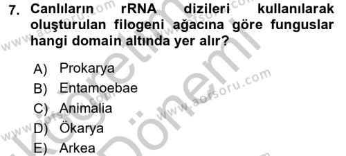 Besin Güvenliği ve Hijyen Dersi 2016 - 2017 Yılı (Vize) Ara Sınavı 7. Soru