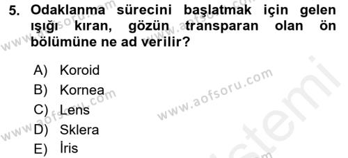 Havacılık Emniyeti Dersi 2018 - 2019 Yılı (Final) Dönem Sonu Sınavı 5. Soru