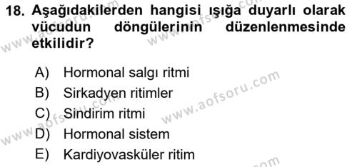 Havacılık Emniyeti Dersi 2021 - 2022 Yılı (Vize) Ara Sınavı 18. Soru