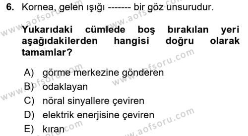 Havacılık Emniyeti Dersi 2023 - 2024 Yılı (Vize) Ara Sınavı 6. Soru