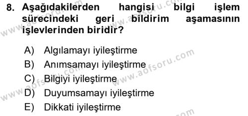 Havacılık Emniyeti Dersi 2023 - 2024 Yılı (Vize) Ara Sınavı 8. Soru