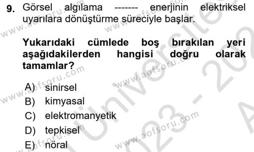 Havacılık Emniyeti Dersi 2023 - 2024 Yılı (Vize) Ara Sınavı 9. Soru