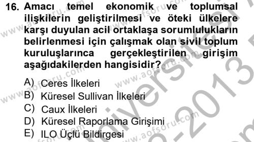 Kurumsal Sosyal Sorumluluk Dersi 2012 - 2013 Yılı (Final) Dönem Sonu Sınavı 16. Soru