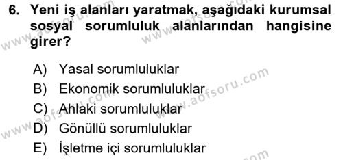 Kurumsal Sosyal Sorumluluk Dersi 2023 - 2024 Yılı (Vize) Ara Sınavı 6. Soru