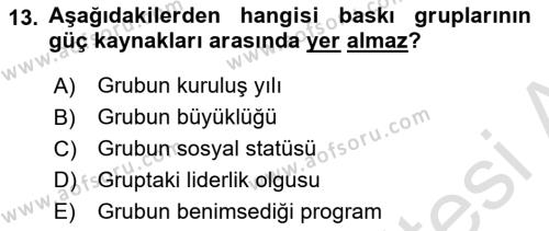 Lobicilik Ve Halkla İlişkiler Dersi 2020 - 2021 Yılı Yaz Okulu Sınavı 13. Soru