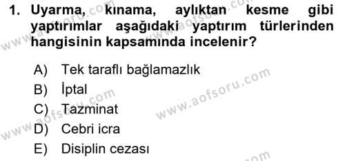 Hukukun Temel Kavramları Dersi 2024 - 2025 Yılı (Vize) Ara Sınavı 1. Soru