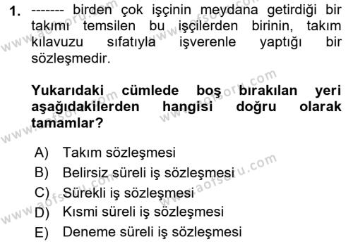 İş Ve Sosyal Güvenlik Hukuku Dersi 2022 - 2023 Yılı Yaz Okulu Sınavı 1. Soru