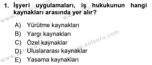 İş Ve Sosyal Güvenlik Hukuku Dersi 2023 - 2024 Yılı (Final) Dönem Sonu Sınavı 1. Soru