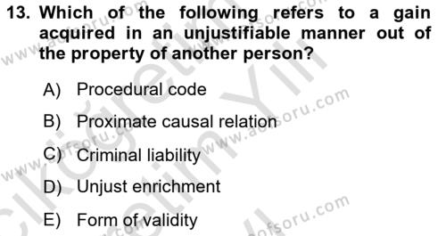 Introduction to Law Dersi 2023 - 2024 Yılı Yaz Okulu Sınavı 13. Soru