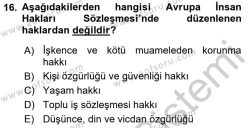 Temel İnsan Hakları Bilgisi 1 Dersi 2016 - 2017 Yılı 3 Ders Sınavı 16. Soru