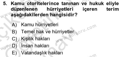 Temel İnsan Hakları Bilgisi 1 Dersi 2020 - 2021 Yılı Yaz Okulu Sınavı 5. Soru