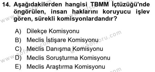 Temel İnsan Hakları Bilgisi 1 Dersi 2021 - 2022 Yılı Yaz Okulu Sınavı 14. Soru