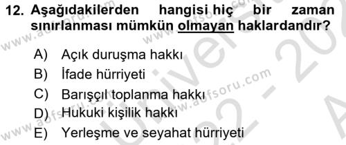 Temel İnsan Hakları Bilgisi 1 Dersi 2022 - 2023 Yılı (Vize) Ara Sınavı 12. Soru