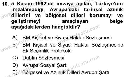 Temel İnsan Hakları Bilgisi 1 Dersi 2024 - 2025 Yılı (Vize) Ara Sınavı 10. Soru