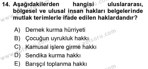 Temel İnsan Hakları Bilgisi 1 Dersi 2024 - 2025 Yılı (Vize) Ara Sınavı 14. Soru