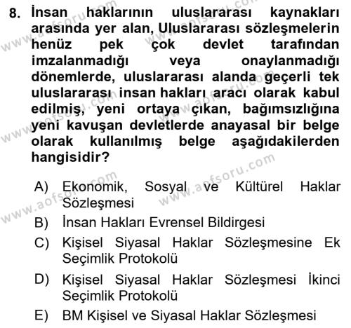 Temel İnsan Hakları Bilgisi 1 Dersi 2024 - 2025 Yılı (Vize) Ara Sınavı 8. Soru