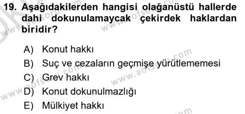 Anayasa Hukukuna Giriş Dersi 2022 - 2023 Yılı Yaz Okulu Sınavı 19. Soru