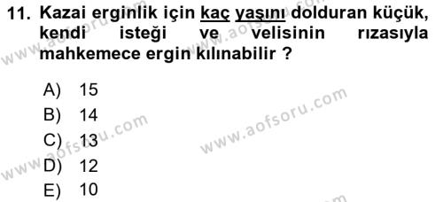 Temel Hukuk Bilgisi Dersi 2021 - 2022 Yılı Yaz Okulu Sınavı 11. Soru