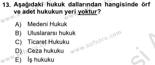 Temel Hukuk Bilgisi Dersi 2021 - 2022 Yılı Yaz Okulu Sınavı 13. Soru