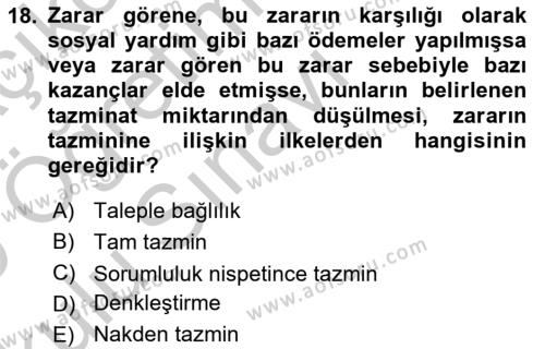 Temel İdare Hukuku Dersi 2018 - 2019 Yılı Yaz Okulu Sınavı 18. Soru