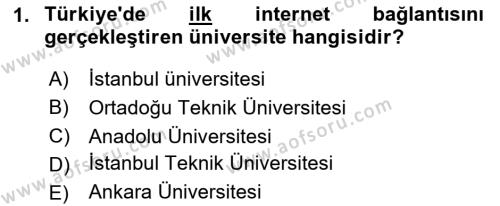 Bilişim Hukuku Dersi 2023 - 2024 Yılı (Final) Dönem Sonu Sınavı 1. Soru