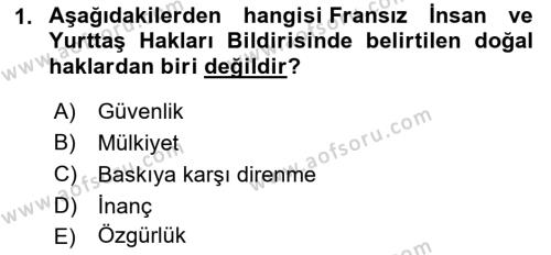 İnsan Hakları Hukukuna Giriş Dersi 2021 - 2022 Yılı Yaz Okulu Sınavı 1. Soru