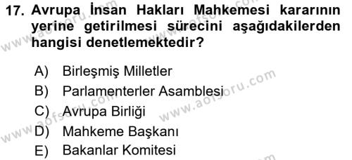 İnsan Hakları Hukukuna Giriş Dersi 2021 - 2022 Yılı Yaz Okulu Sınavı 17. Soru