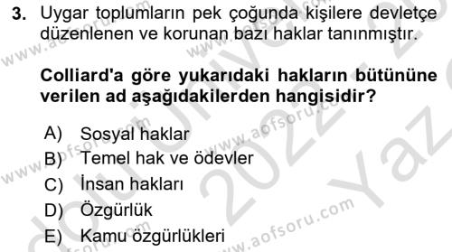 İnsan Hakları Hukukuna Giriş Dersi 2022 - 2023 Yılı Yaz Okulu Sınavı 3. Soru