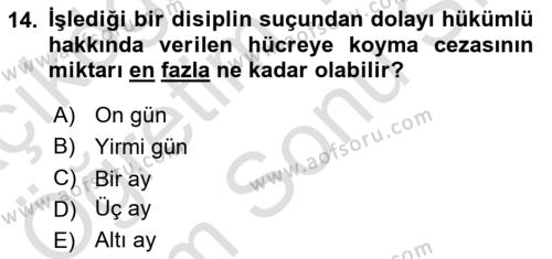 Temel İnfaz Hukuku Bilgisi Dersi 2021 - 2022 Yılı (Final) Dönem Sonu Sınavı 14. Soru